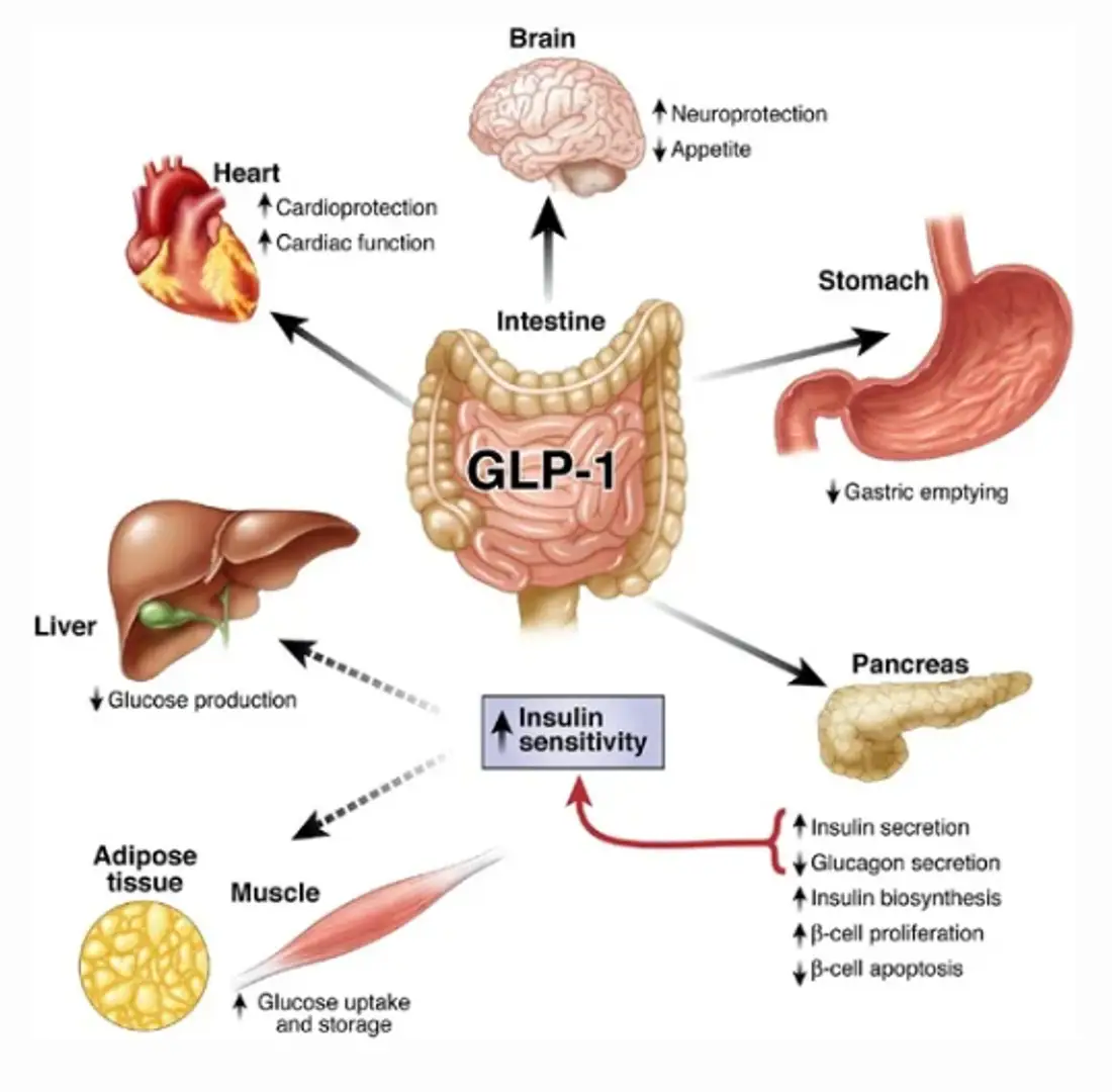 6931085de32061c21f6527bf
